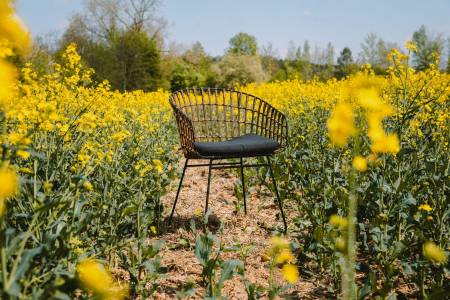 SAM_NEU-Esszimmer-Stuehle-Lima-braun-Lima_Kolonial_07