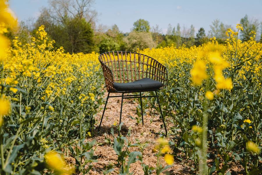 SAM_NEU-Esszimmer-Stuehle-Lima-braun-Lima_Kolonial_07