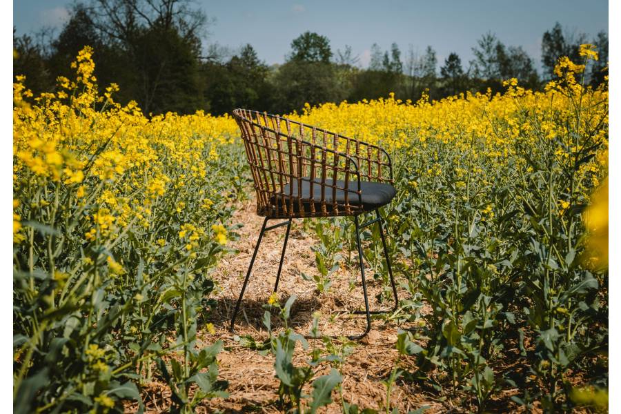 SAM_NEU-Esszimmer-Stuehle-Lima-braun-Lima_Kolonial_08