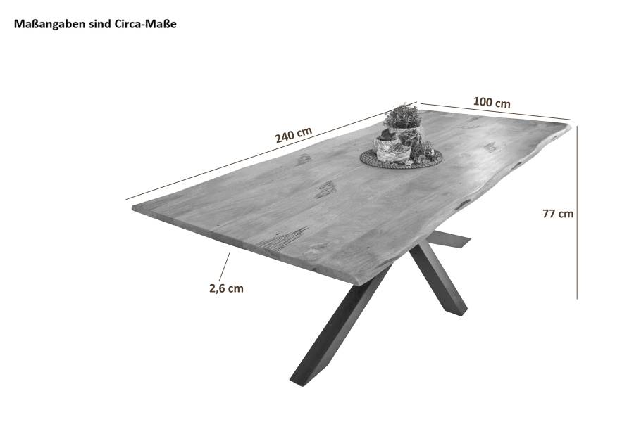 SAM_NEU-Esszimmer-Baumkante-Tische-Dora-Spider-Gestell-Vintage-schwarz-240-BKT_Dora_vintage_240_03-5