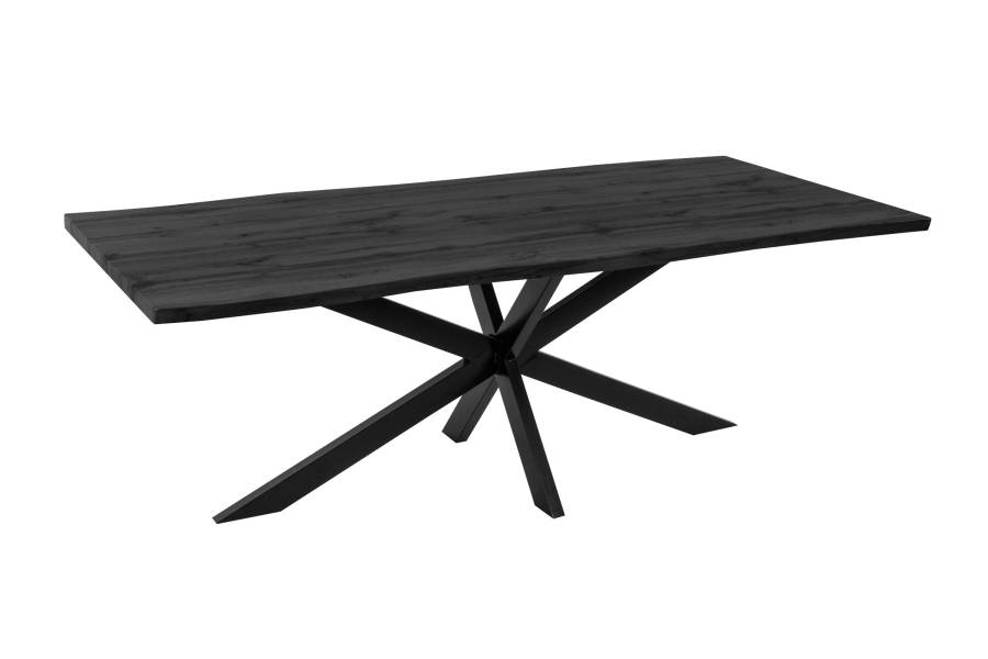 SAM_NEU-Esszimmer-Esszimmertische-Josy-Grau-Spider-schwarz-240-BKT_Josy_grau_02-5