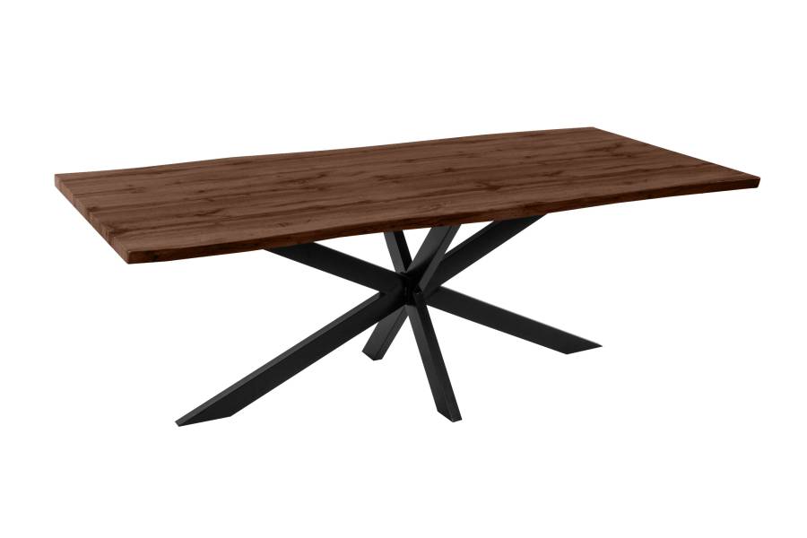 SAM_NEU-Esszimmer-Esszimmertische-Josy-Nuss-Spider-schwarz-240-BKT_Josy_nussbaum_02-5