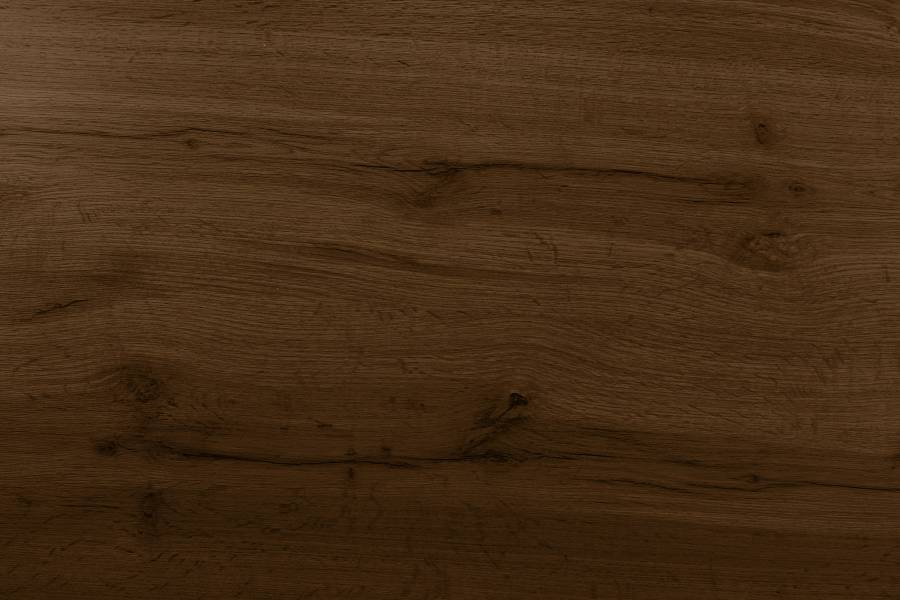 SAM_NEU-Esszimmer-Esszimmertische-Josy-Nuss-Spider-schwarz-240-BKT_Josy_nussbaum_06-5