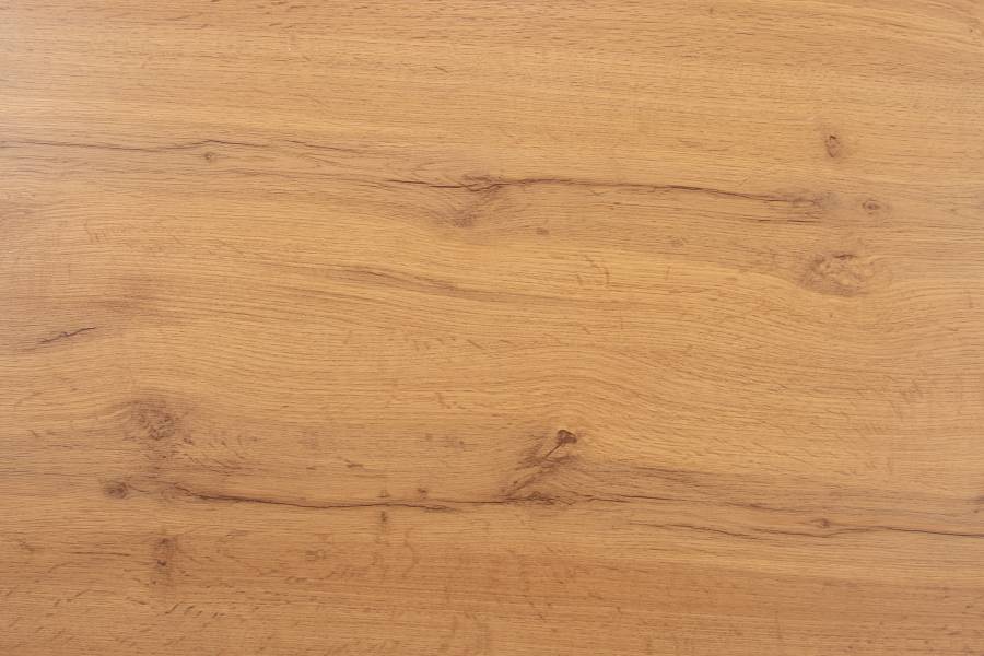 SAM_NEU-Esszimmer-Esszimmertische-Josy-spider-schwarz-160-BKT_Josy_wildeiche_06-1