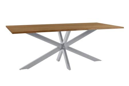 SAM_NEU-Esszimmer-Esszimmertische-Salvador-BKT-Spider-silber-260-BKT_Salvador_02