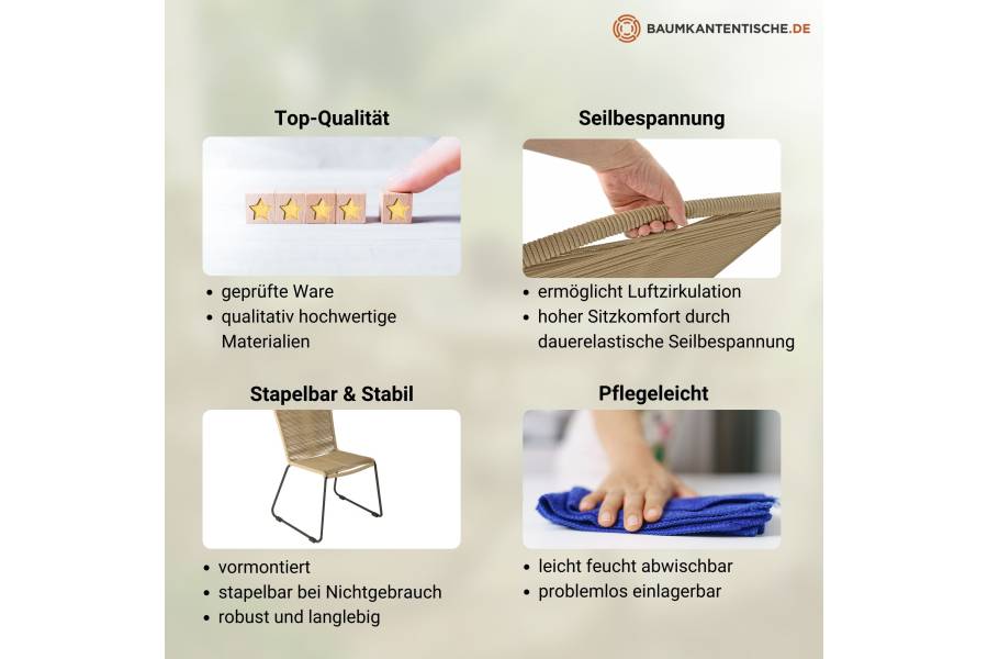 SAM_NEU-Esszimmer-Stuehle-Isra-taupe-BKT_Stuhl_Isra_taupe_03-1