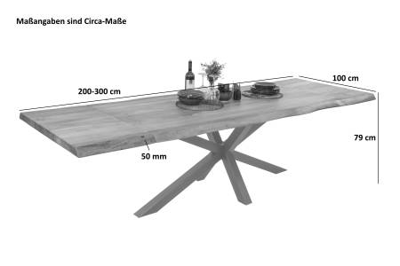 SAM_NEU-Esszimmer-Baumkante-Tische-Cali-Ansteckplatte-Spider-Gestell-natur-silber-200-BKT_Cali_natur_03-2