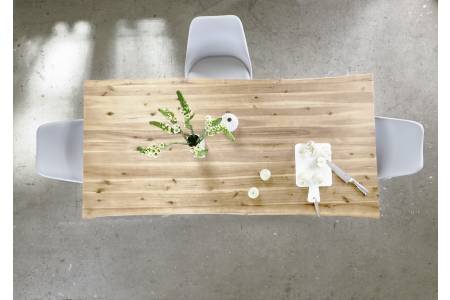 SAM_NEU-Esszimmer-Baumkante-Tische-Harley-BKT-natur_lackiert-U-Gestell-schwarz-180-BKT_Harley_u_sw_08-1