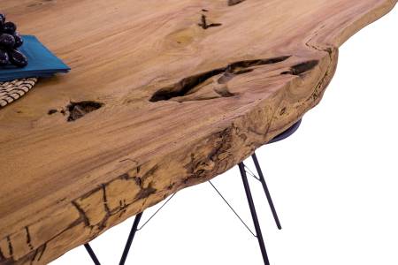 SAM_NEU-Esszimmer-Baumkante-Tische-Kinan-BKT-Spider-silber-300-BKT_Kinan_06