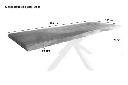 SAM_NEU-Esszimmer-Baumkante-Tische-Titan-Natur-Spider-Silber-260×110-ML_Titan_260_natur_Spider_silber_05-2