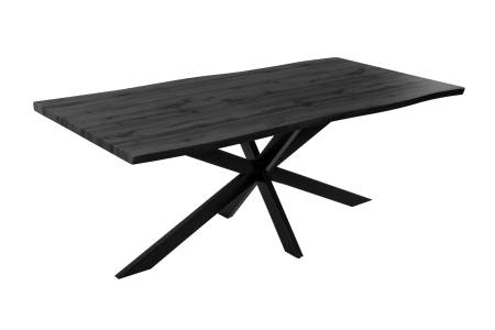 SAM_NEU-Esszimmer-Esszimmertische-Josy-Grau-Spider-schwarz-200-BKT_Josy_grau_02-3