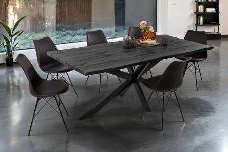 SAM_NEU-Esszimmer-Esszimmertische-Josy-Grau-Spider-schwarz-200-BKT_Josy_grau_05-3