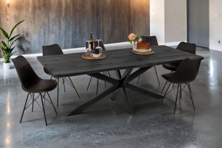 SAM_NEU-Esszimmer-Esszimmertische-Josy-Grau-Spider-schwarz-220-BKT_Josy_grau_05-1