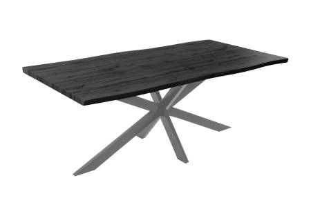 SAM_NEU-Esszimmer-Esszimmertische-Josy-Grau-Spider-silber-200-BKT_Josy_grau_02-3