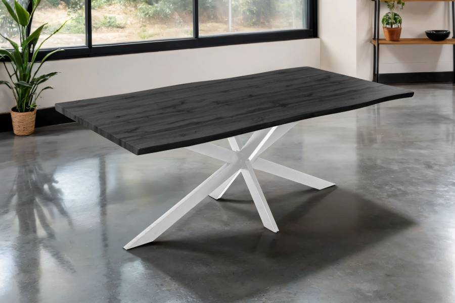 SAM_NEU-Esszimmer-Esszimmertische-Josy-spider-weiss-grau-200-BKT_Josy_grau_01-2