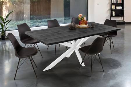 SAM_NEU-Esszimmer-Esszimmertische-Josy-spider-weiss-grau-200-BKT_Josy_grau_05-2