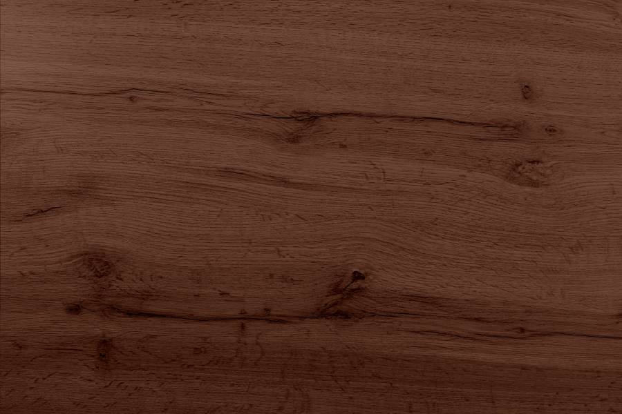 SAM_NEU-Esszimmer-Esszimmertische-Julius-Nuss-Spider-schwarz-220-BKT_Julius_07-1