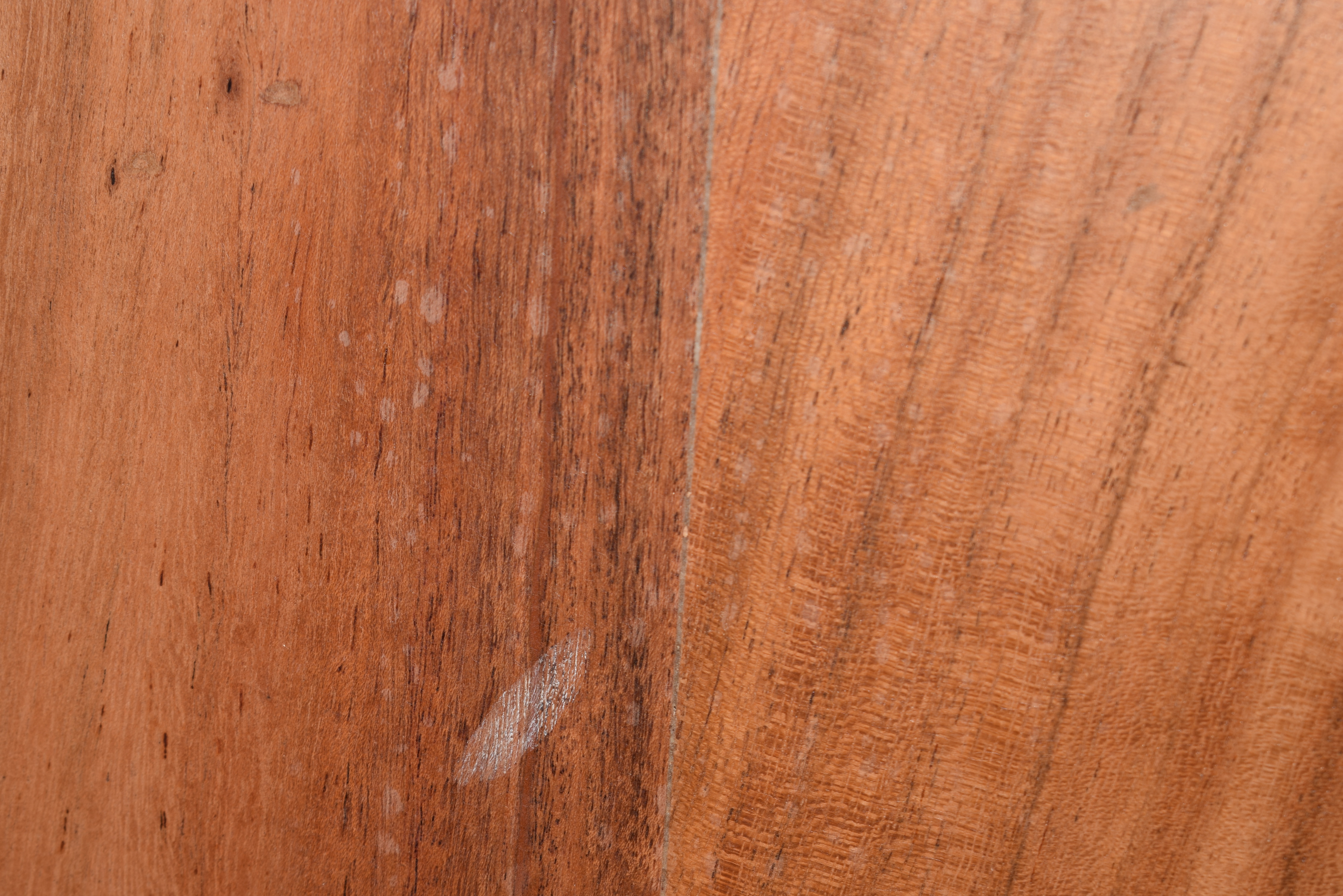 CasaMassiva-CWare-BeimC3B6bel-Lentia_Sara-Lentia_Sara_Vitrine_03