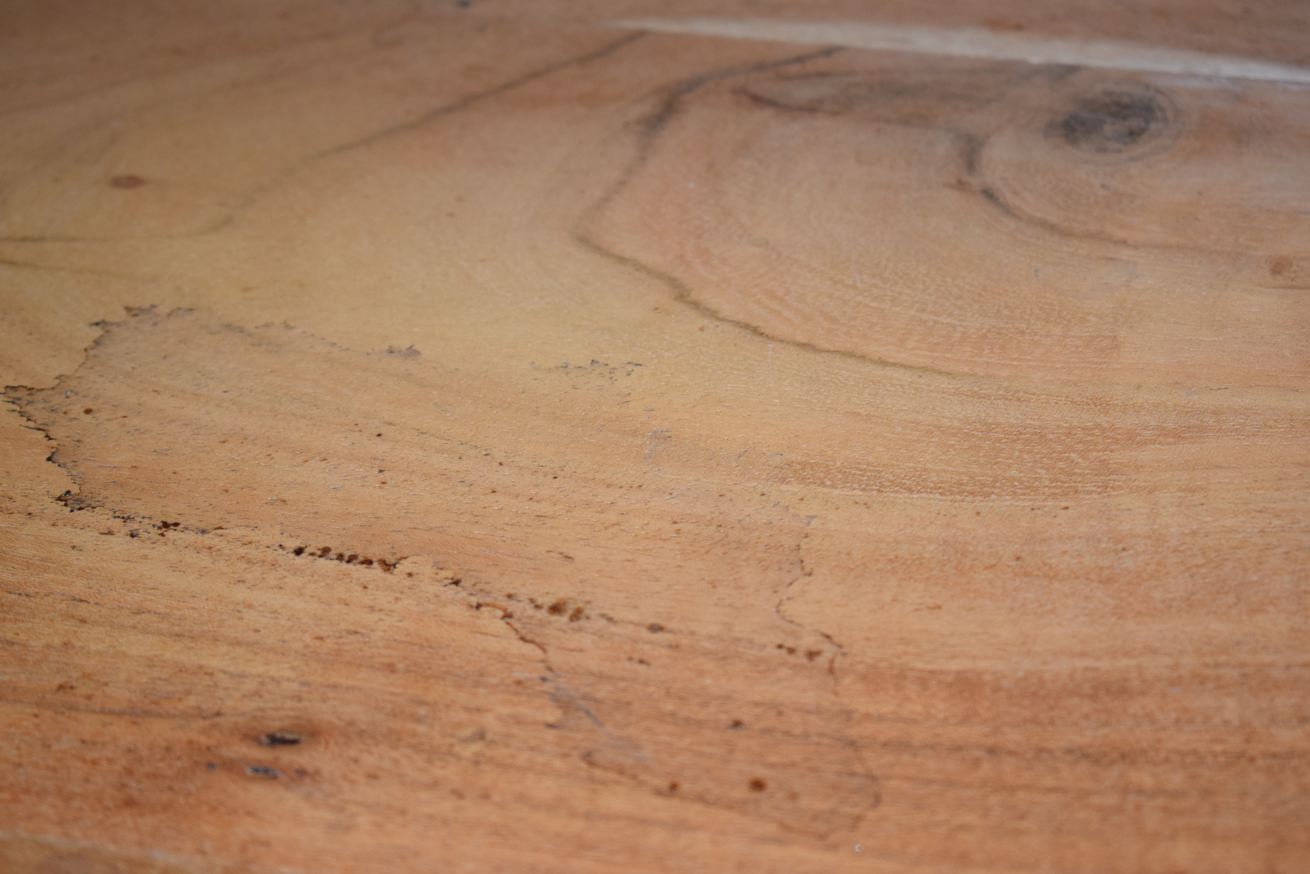 CasaMassiva-CWare-BeimC3B6bel-Lentia_Sara-Lentia_Sara_Vitrine_05