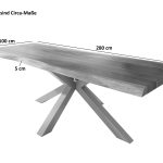 SAM_NEU-Esszimmer-Baumkante-Tische-Atlas-Nuss-Spider-Silber-280-BKT_Atlas_nussbaum_silber_03