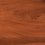 SAM_NEU-Esszimmer-Baumkante-Tische-Cali-Ansteckplatte-Spider-Gestell-nuss-schwarz-140-BKT_Cali_nussbaum_07