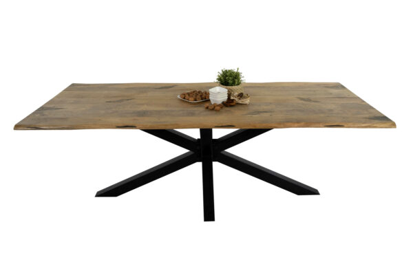 Baumkantentisch Mangoholz Esstisch Vintage-Optik 220 x 100 cm Spider-Gestell schwarz TIGER