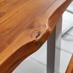 SAM_NEU-Esszimmer-Baumkante-Tische-Ina-silber-140-Ina_silber_06