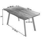 SAM_NEU-Esszimmer-Baumkante-Tische-Laxmi-natur-silber-120-Laxmi_naturfarben_silber_02