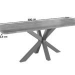 SAM_NEU-Esszimmer-Baumkante-Tische-Spyro-Natur-Silber-300-Natur_silber_03