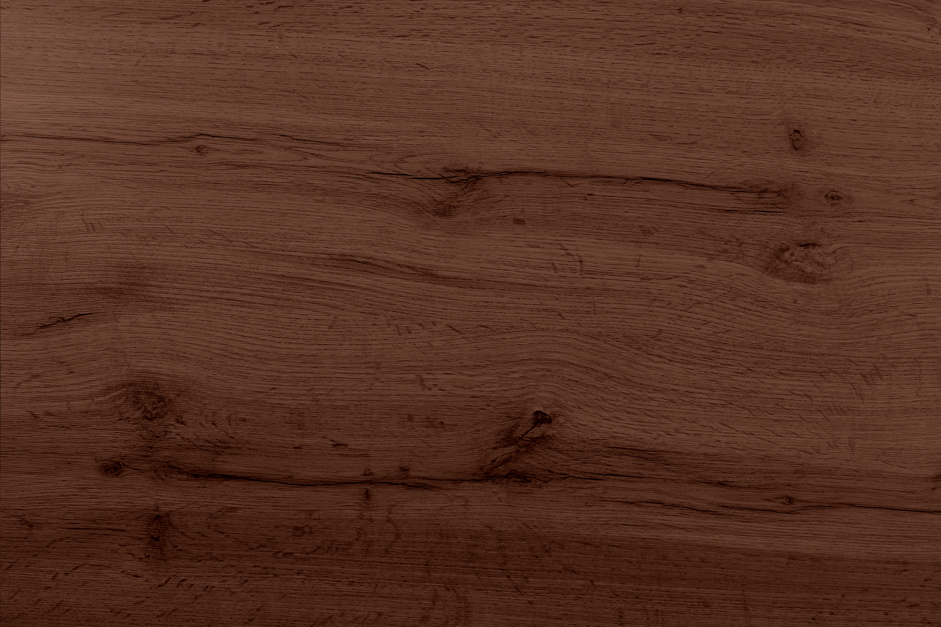 SAM_NEU-Esszimmer-Esszimmertische-Julius-Nuss-X-weiss-200-Julius_nuss_200_X_weiss_07