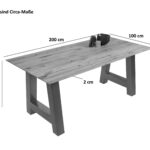 SAM_NEU-Esszimmer-Esszimmertische-Lotte-Baumkantentische.de-200-silber-Tisch_lotte_200x100_eiche_silber_neu_03
