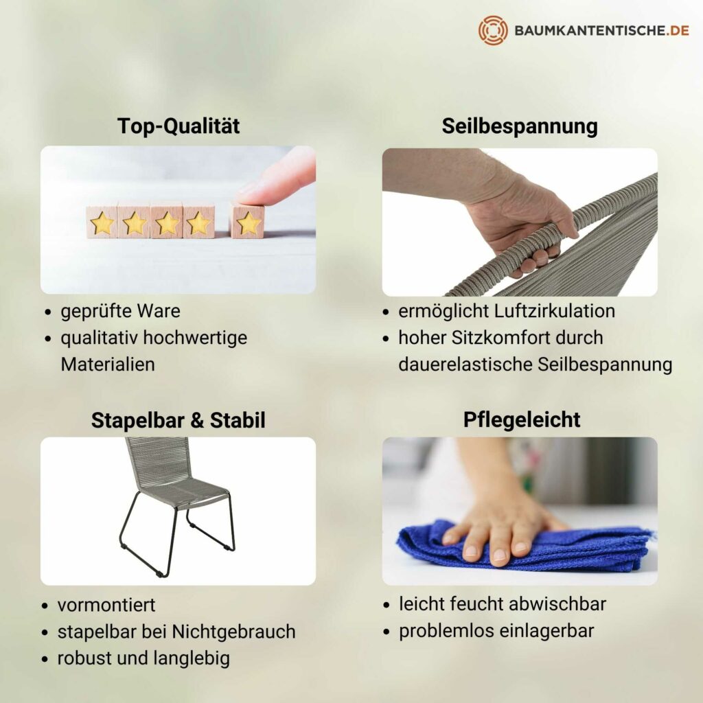 SAM_NEU-Esszimmer-Stuehle-Isra-grau-BKT_Stuhl_Isra_grau_03