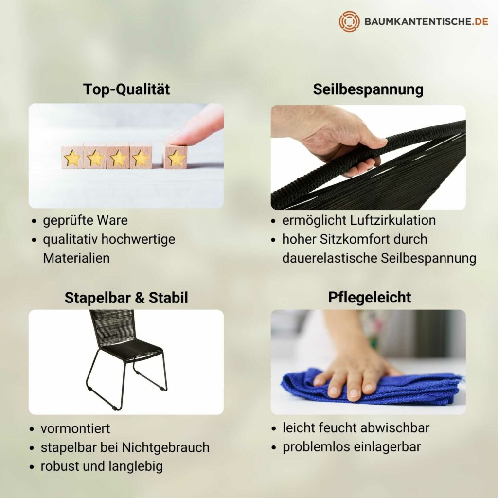 SAM_NEU-Esszimmer-Stuehle-Isra-schwarz-BKT_Stuhl_Isra_schwarz_03